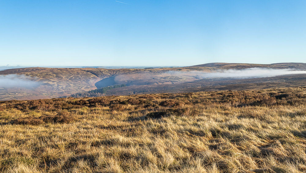 Goyt's Moss Goyt's Moss